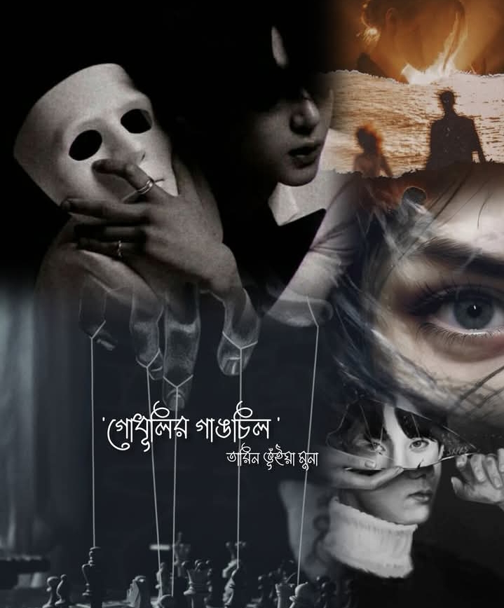 গোধূলির গাঙচিল